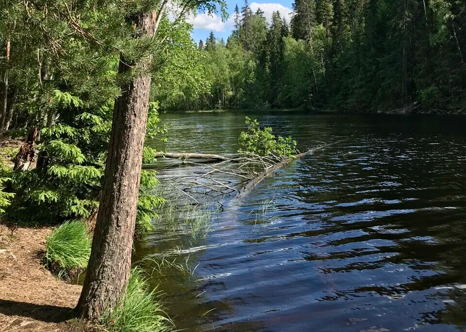 Aurinkoinen järvimaisema metsäisten kallioiden keskellä Helvetinjärvellä.